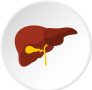 liver-icon-circle-vector-15625645